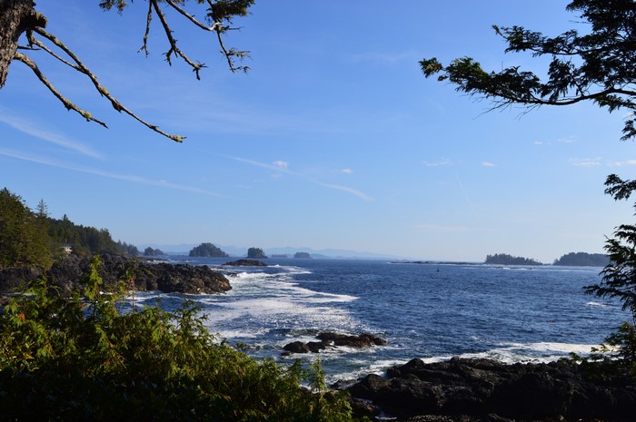 Rocky Coastline with Islands and Ocean in Ucluelet, Canada