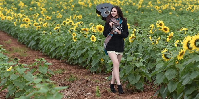 Asian woman with guitar in sunflower field