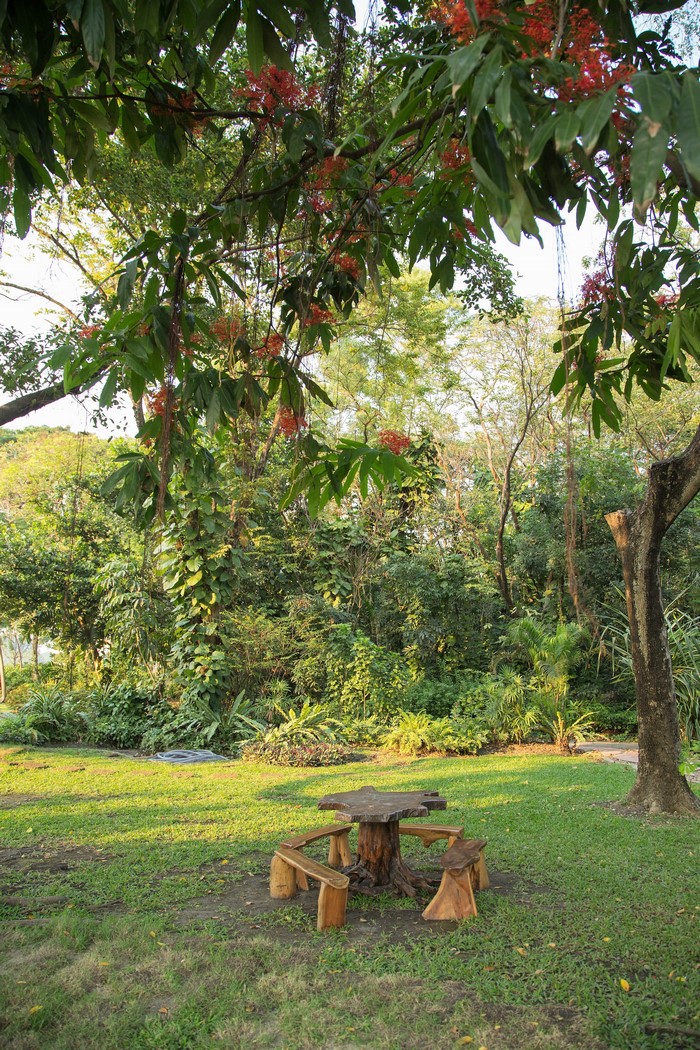 Wooden table and benches in a park with trees and flowers