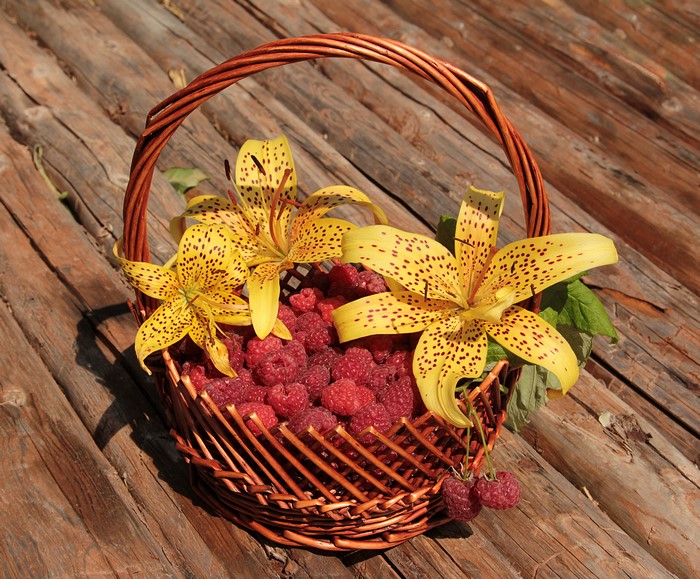 Raspberries and lilies in a wicker basket on wood planks