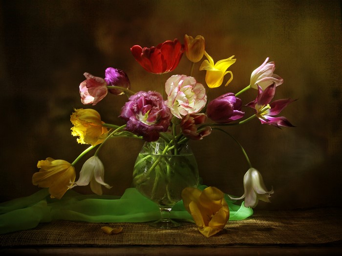 Still life of colorful tulips in a glass vase