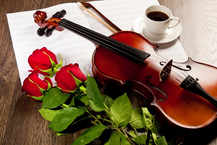 Violin, Roses, and Coffee Still Life