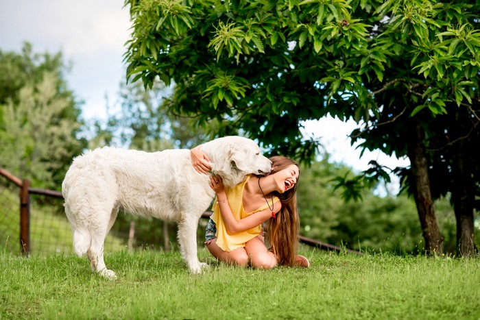 Girl hugging a large white dog outdoors