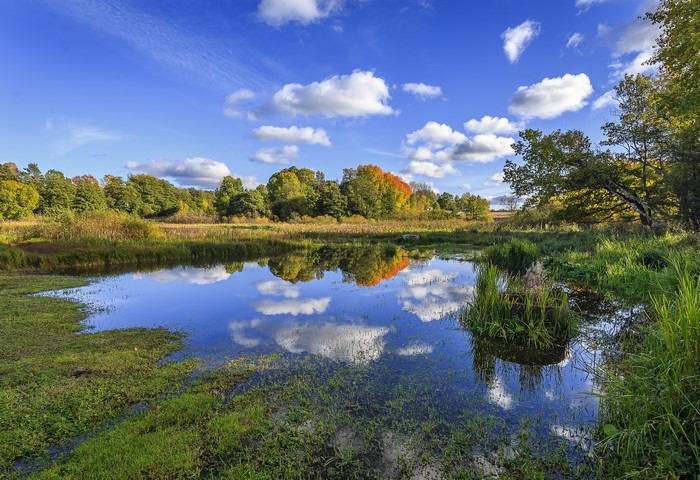 Autumn trees reflected in a calm lake under a blue sky