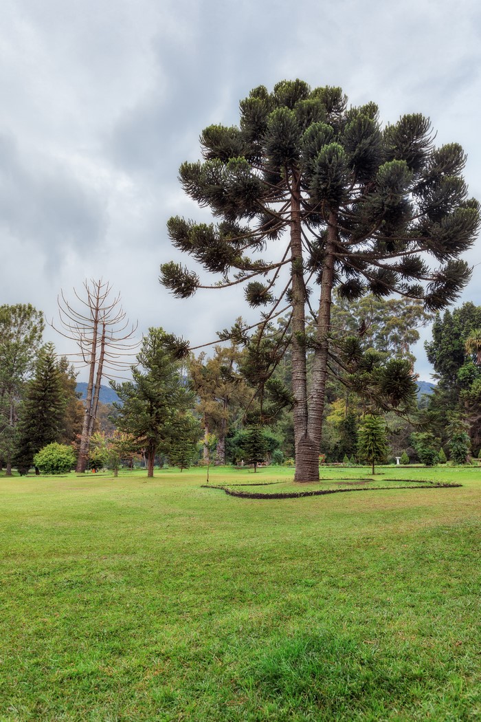 Queen Victoria Park, Sri Lanka