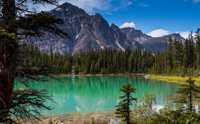 Turquoise lake and mountains with pine trees