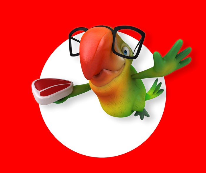 Parrot wearing glasses holding a steak