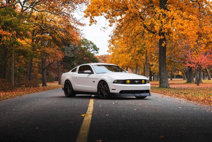 White 2009 Ford Mustang on a Road in Autumn
