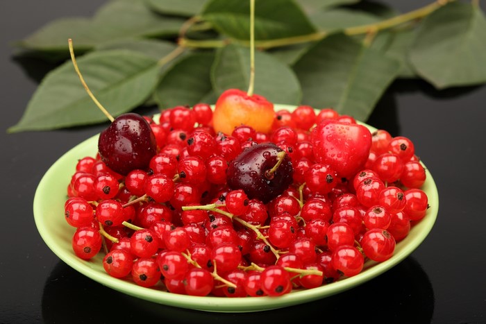 Red currants and cherries on a plate