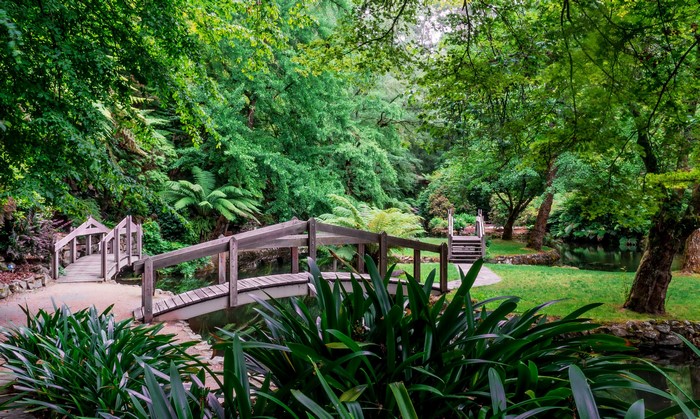 Wooden bridges over a stream in Alfred Nicholas Memorial Gardens