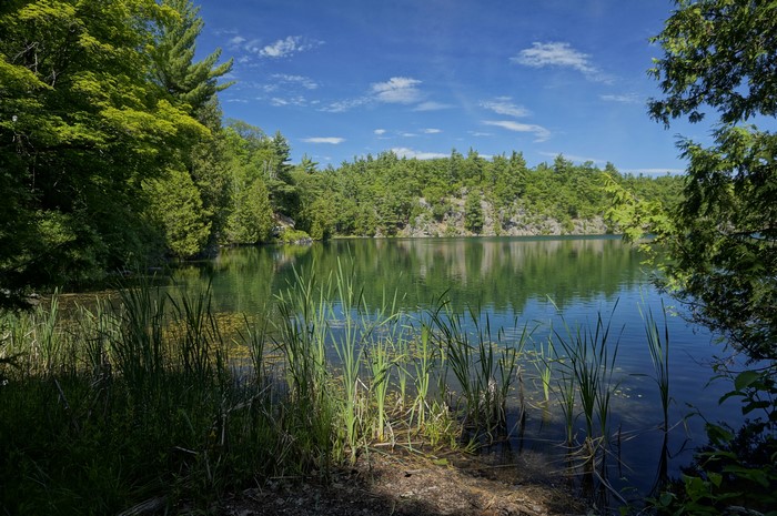 Pink Lake in Gatineau Park, Canada