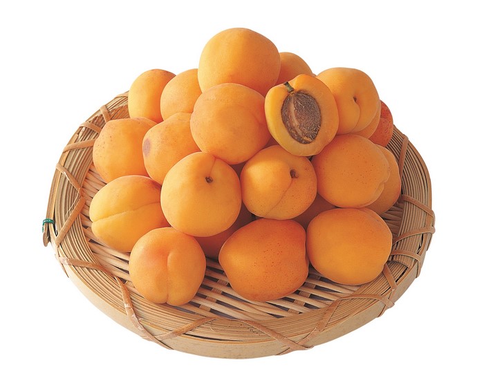 A basket of fresh apricots