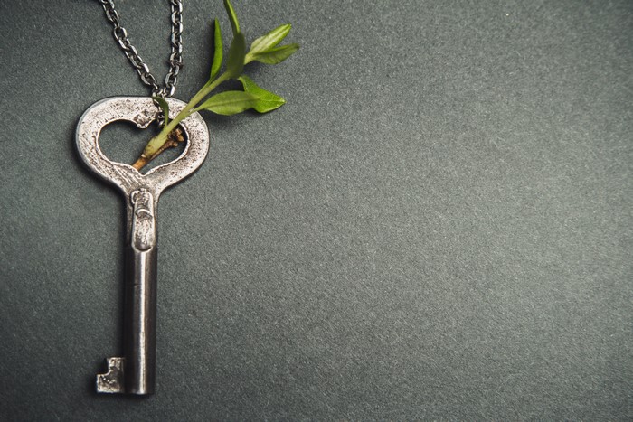 Antique key with a plant on a chain