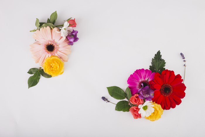 Gerberas, Roses, and Alstroemeria on Gray Background