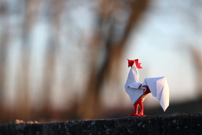 Origami Rooster on a Wall