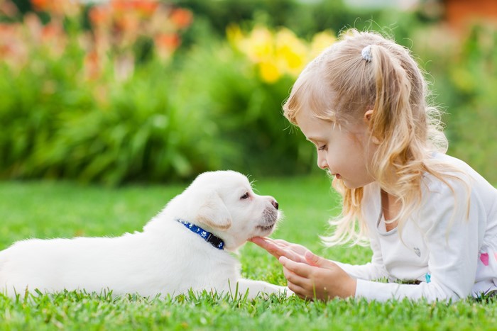 Little girl with a white puppy on grass