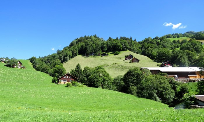 Houses on green hills in Weissenberge, Switzerland