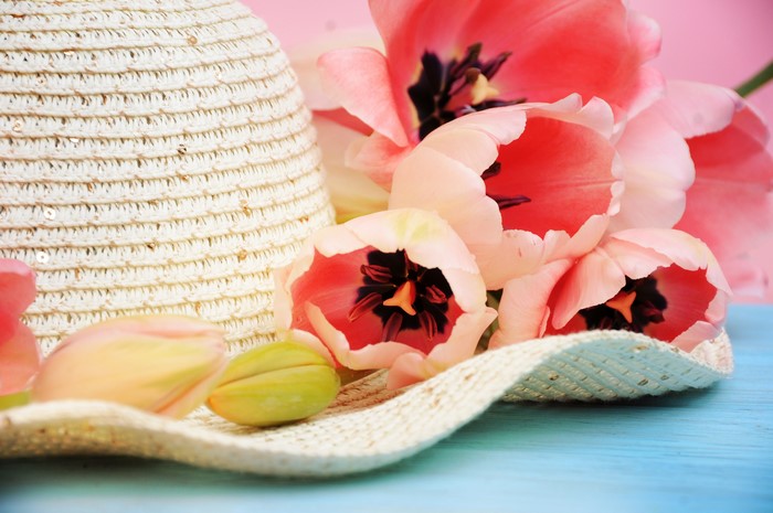 4K Tulips and Hat