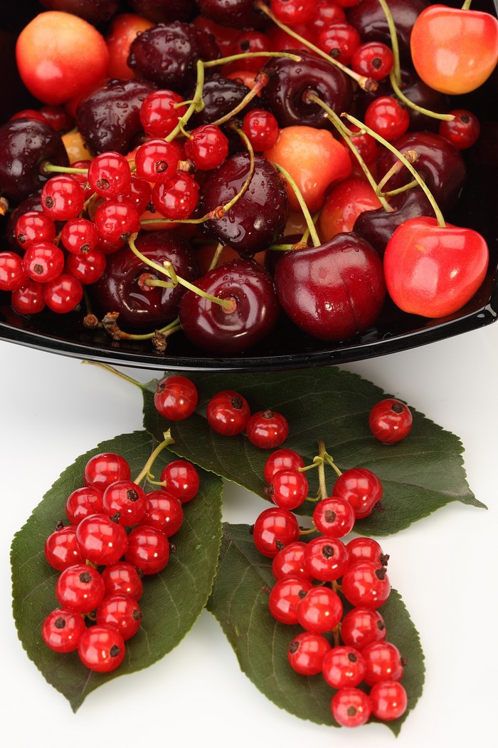 Cherries and red currants on leaves