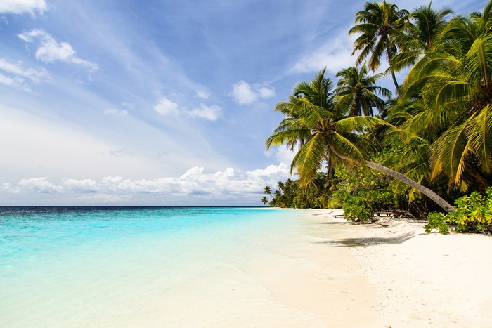 Tropical beach with palm trees and turquoise water