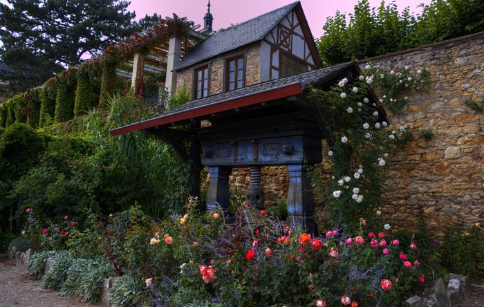 House with garden and roses in Eltville, Germany