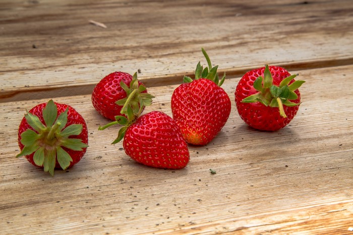 Strawberries on wood planks