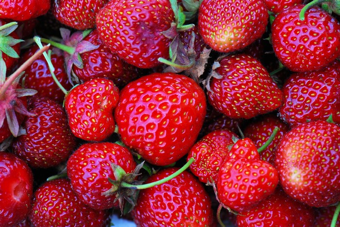 Close-up of fresh strawberries