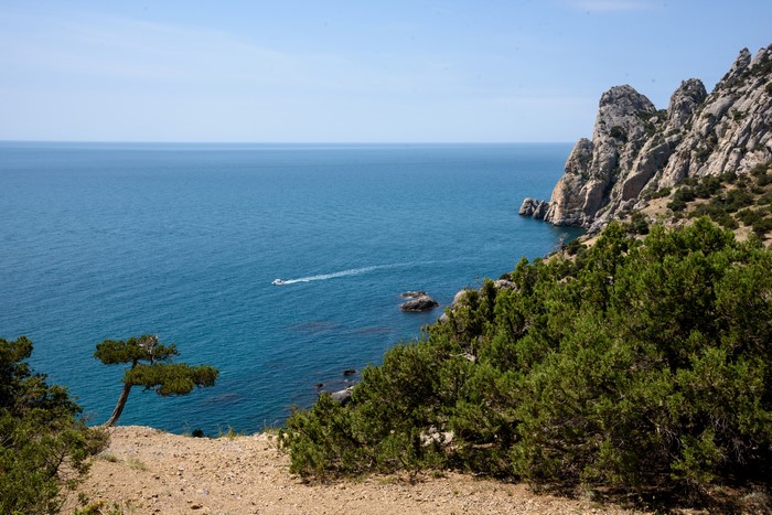 Sea coast with rocky cliffs and shrubs in Crimea