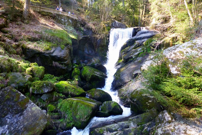 Triberger Wasserfall waterfall with mossy rocks and trees
