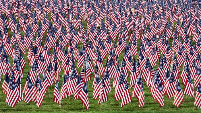 Field of American Flags
