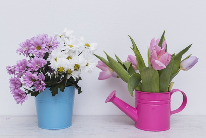Chrysanthemums and Tulips in Buckets