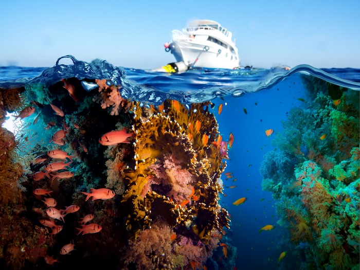 Underwater coral reef with fish and a boat