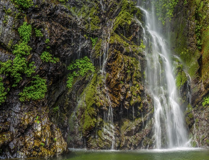 Waterfall cascading down a moss-covered rocky cliff in Japan