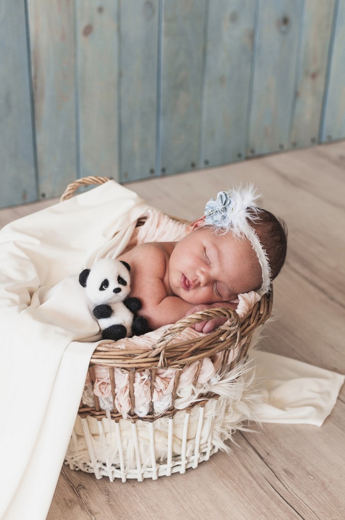 Newborn baby sleeping in a wicker basket with a panda toy