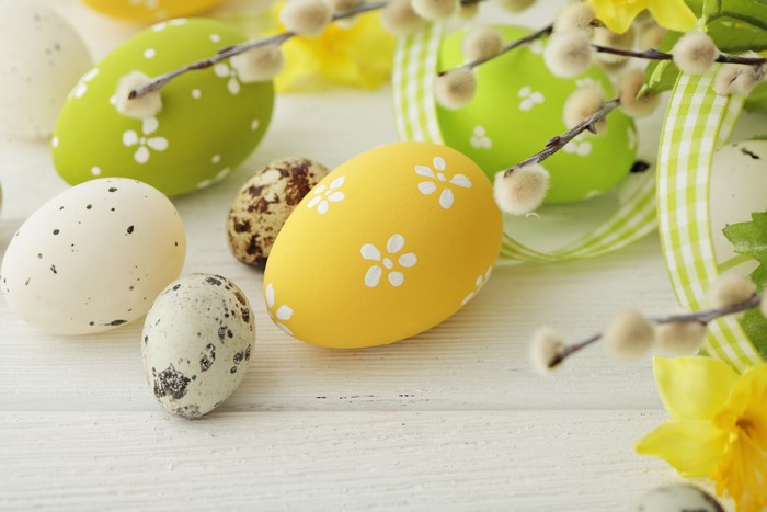 Easter Eggs with Pussy Willows and Daffodils