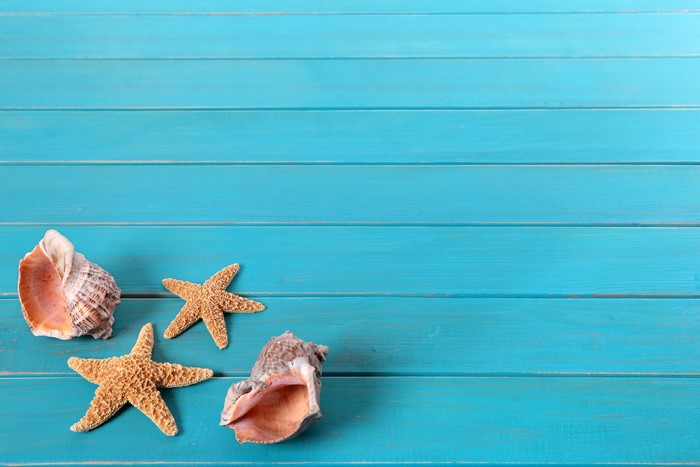 Shells and Starfish on Blue Wood Planks