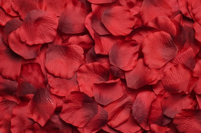 Red Rose Petals Texture