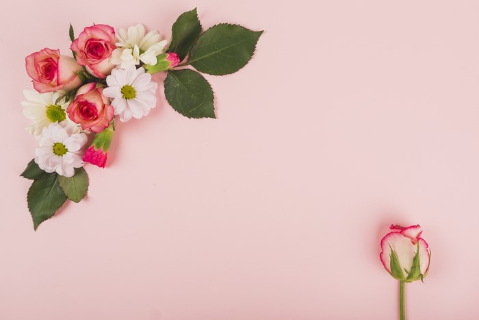Roses and Chrysanthemums on Pink Background