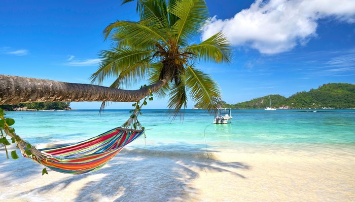 Hammock hanging from a palm tree on a tropical beach
