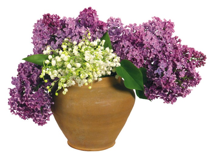 Lilac and Lily of the Valley flowers in a terracotta pot