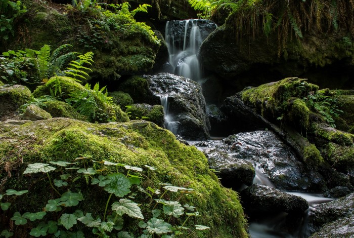 Mossy rocks and waterfall in Redwood National Park, California