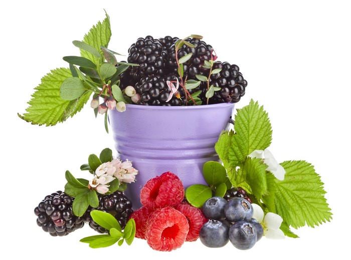 Blackberries, Raspberries, and Blueberries in a Purple Bucket