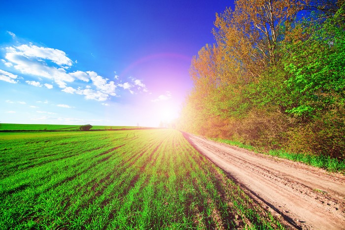 Green fields and a dirt road under a blue sky
