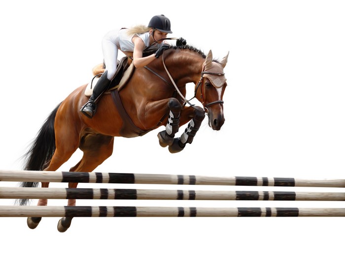Woman riding a horse jumping over obstacles