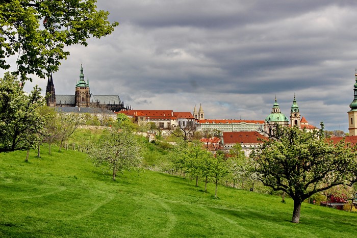 Prague Castle and St. Vitus Cathedral from a grassy hill
