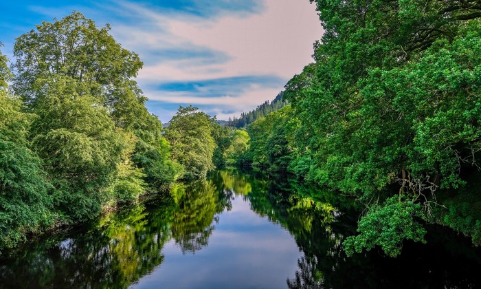 River flowing through a forest in Betws-y-coed, Wales