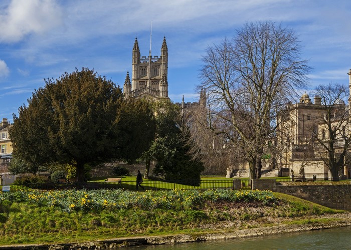 Bath Abbey and park with daffodils in the UK