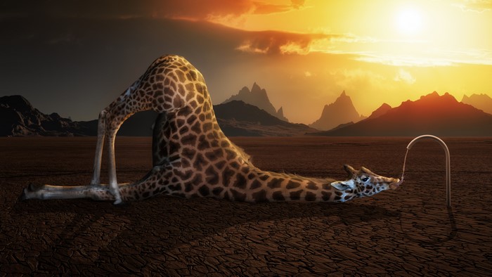 Giraffe drinking from a tap in a desert landscape