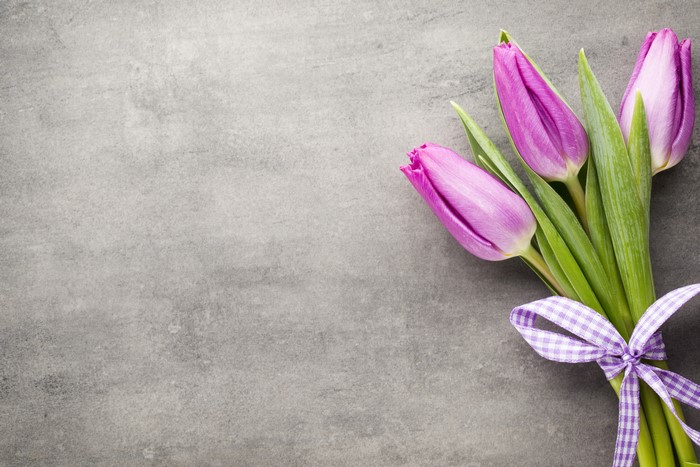 Three purple tulips tied with a bow