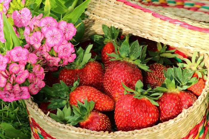 Strawberries in a basket with pink flowers